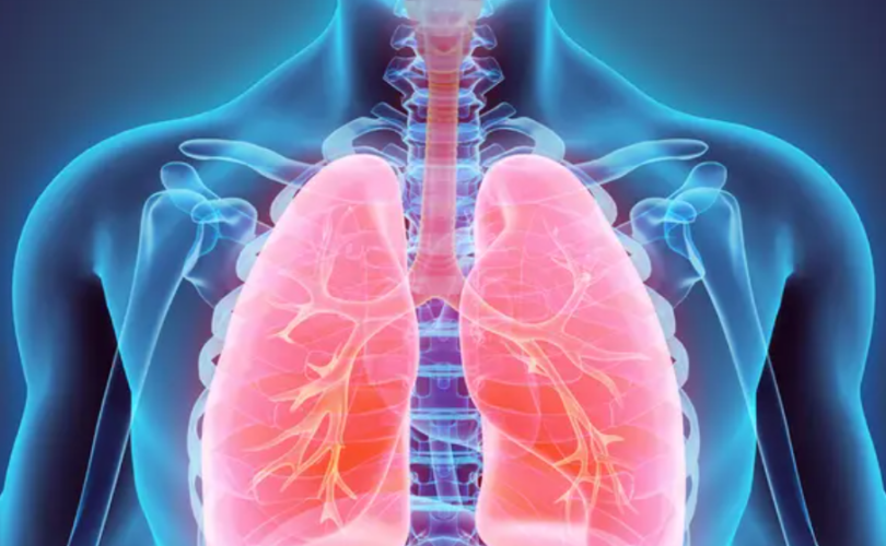 animación pulmones
