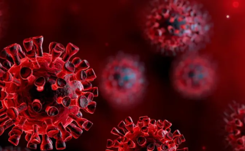 virus